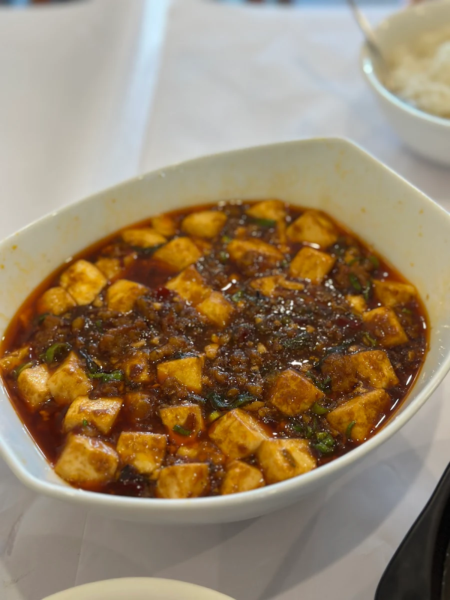 mapo tofu with minced pork 麻婆豆腐
